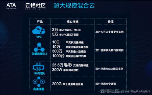 網絡虛擬化技術 為“雙11”打造高效能靈動網絡的技術基石